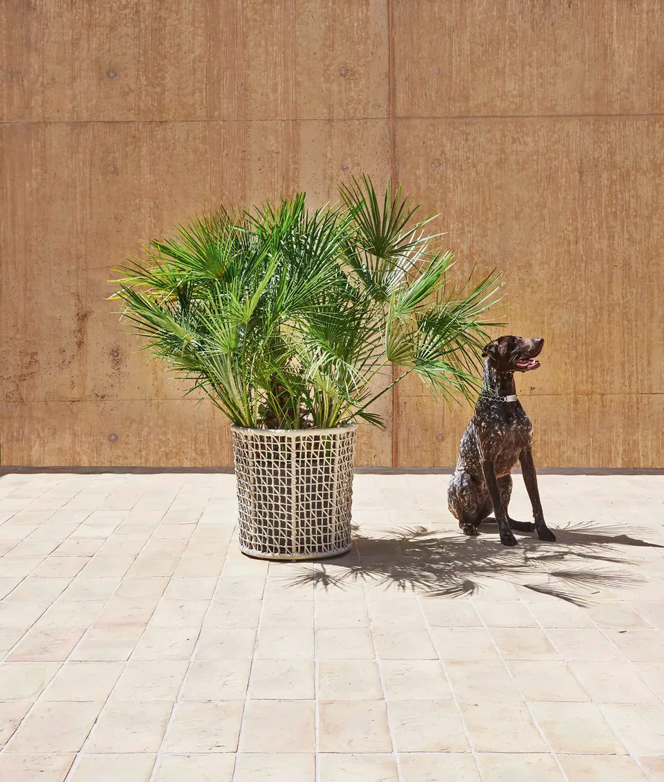 סל קלוע ועציץ Emma Flowerpot של Varaschin — תמונה 3